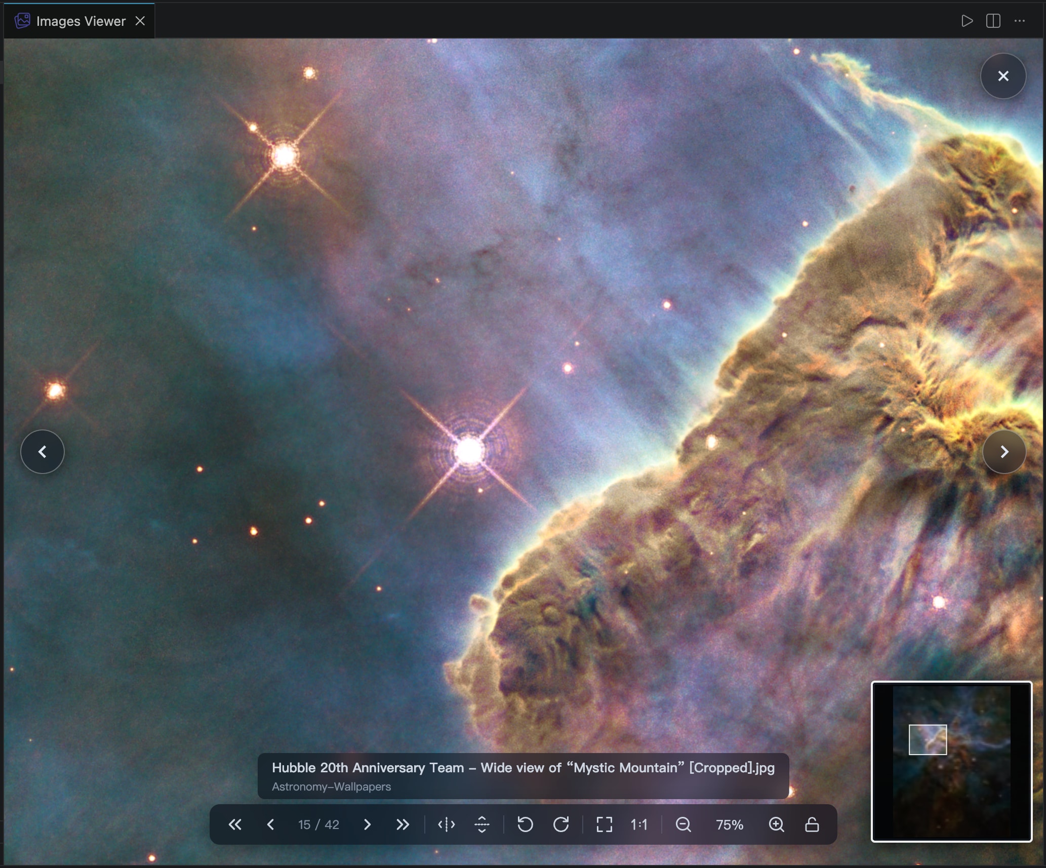 Image Viewer main panel — image preview in dark theme